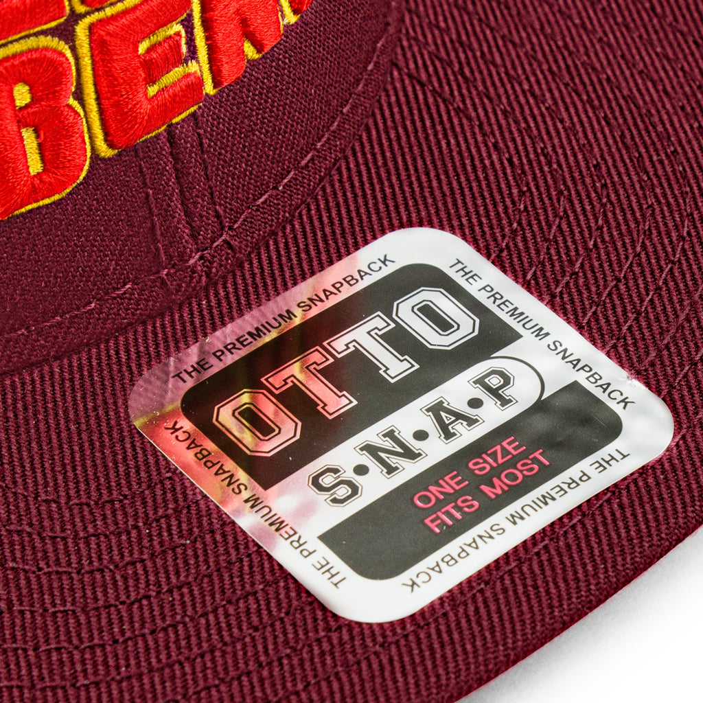 Hellbend Premium Snapback - Wings-Apparel, Goods, & Gear-HellBend Custom Cycles